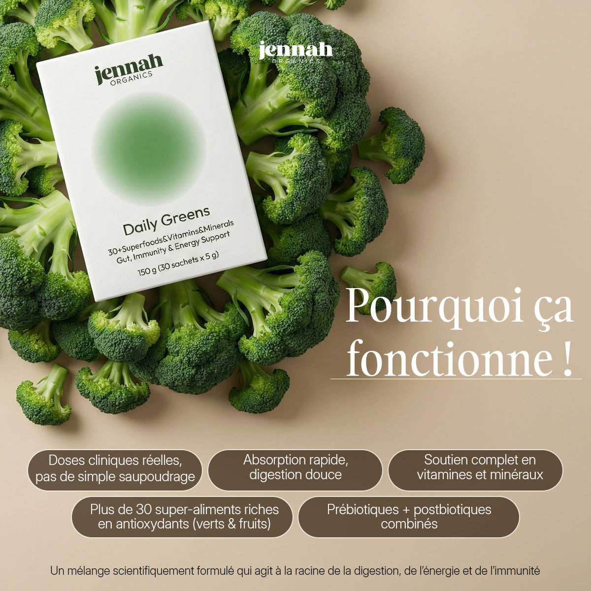 Daily Greens – Poudre Supergreens Végétale (30 sticks)